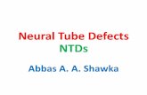 Neural Tube Defects ( NTDs )