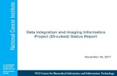 Data Integration and Imaging Informatics - Status Report