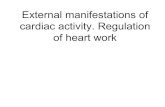 External manifestations of cardiac activity. Regulation of heart work
