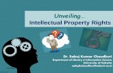 Unveiling Intellectual Property Rights
