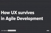 UX Camp 2017 – How UX survives in agile development