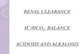 Renal clearance and pH balance