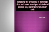 Increasing the efficiency of homology-directed repair for crispr-cas9-induced precise gene editing in mammalian cells