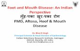 Foot and mouth disease:  An Indian perspective