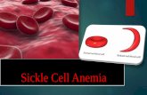 Sickle Cell Anemia and glucose-6-phosphate dehydrogenase