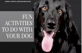 Fun Activities To Do With Your Dog