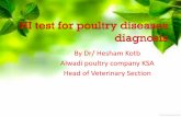 Hi test for poultry disease diagnosis
