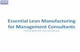 Lean manufacturing for Management Consultants and Business Analysts