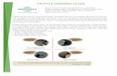 Truffle farming guide   micofora booklet