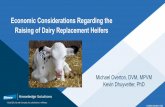Economic Considerations Regarding the Raising of Dairy Replacement Heifers