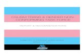 CSUSM Trans & Gender Non-Conforming Task Force: Report and Recommendations, 2017