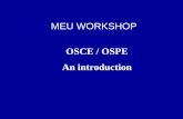 meu workshop Osce ospe an introduction