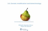 3.5. Genetic modification and cloning