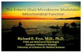 Microbiome and Mitochondria