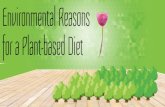 Environmental Reasons for a Plant-based Diet