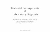 2. bacterial pathogenesis&lab diagnosis