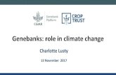 Genebanks: role in climate adaptation