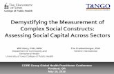 Demystifying the Measurement of Complex Social Constructs: Assessing Social Capital Across Sectors WILLIAM STORY and TIM FRANKENBERGER