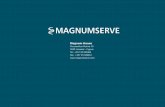Magnumserve LTD