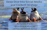 Danielle Brigida: Deep dive into social media and content strategy