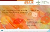 Jan Low can non gmo climate-smart crops alone sustain small-scale farming w-out event slide