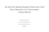 Sa and av nodal bradyarrhythmias and the indication