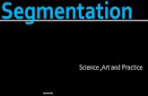 Segmentation- Science, Art and Practice