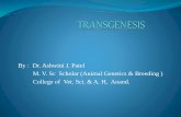 Transgenesis by Dr.Ashwini J. Patel-Gujarat