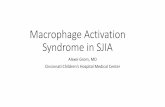 Macrophage Activation Syndrome in SJIA - Alexei Grom