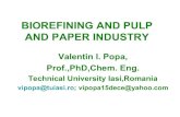 Biorefining and pulp and paper industry