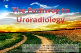 The pathway to uroradiology