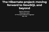 The Hibernate Project: Moving Forward to NewSQL and Beyond