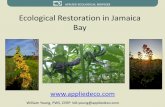 Jamaica bay task force -Ecological Restoration around the bay