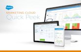 Salesforce Marketing Cloud Quick Preview