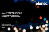 PLS 2017: Smart street lighting: sensors vs big data