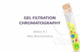 (Gel Filtration Chromatography)GFC