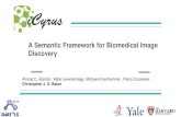 A semantic framework for biomedical image discovery