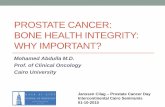 Bone Health in Prostate Cancer Patients.