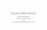 Cornea undergraduates' revision,Ahmed Osama Hashem MD ,Ophthalmology