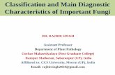 Classification and diagnostic charecterstics of main plant pathogenic fungi