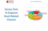 Various Tests To Diagnose Heart Related Diseases