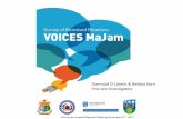 VOICES MaJam: Survey of Bereaved Relatives