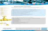 AVEVA PDMS Expertise - ORINOX | CONSEIL · PDF fileAVEVA PDMS Expertise AVEVA PDMS Speci˜cation Catalogues Creation and maintenance of AVEVA PDMS project catalogues and speci˜cations