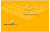 Framework for Strategic   Innovation White Paper.pdf · A Framework for Strategic Innovation