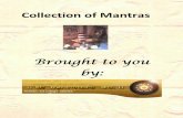 Collection of Mantras - · PDF fileCONTENTS: Sri Ganesha stotra Sri Mahalakshmi stotra Sri Saraswathi stotra Nivedana stotra Nagagraha smarane Prarthane Shivastuti Gowri Japa Indraakshi