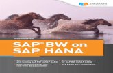 SAP BW on SAP HANA - Espresso Tutorials · PDF file1.2 SAP BW on SAP HANA 18 ... also offers user and authorization management and SAP HANA extend-ed application services (XS) for