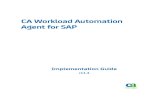 CA Workload Automation Agent for SAP Workload... · CA Workload Automation Agent for SAP (CA WA Agent for SAP) ... Authorization for Business Warehouse (BW) Jobs ...