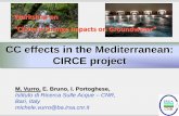 CC effects in the Mediterranean: CIRCE project · PDF fileCC effects in the Mediterranean: CIRCE project Workshop on ... the PROTHEUS system is composed of the RegCM atmospheric regional