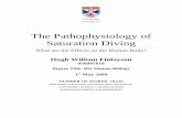 The Pathophysiology of Saturation Diving - hnosyalnif.comhnosyalnif.com/HWF/Dissertation/The Physiology of Saturation Diving... · The Pathophysiology of Saturation Diving What are