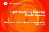 Right Sizing Big Data for Credit Unions - Think. Do. . · PDF fileRight Sizing Big Data for Credit Unions ... pride on gut based ... marketin g/CRM) Functional and tactical Desire